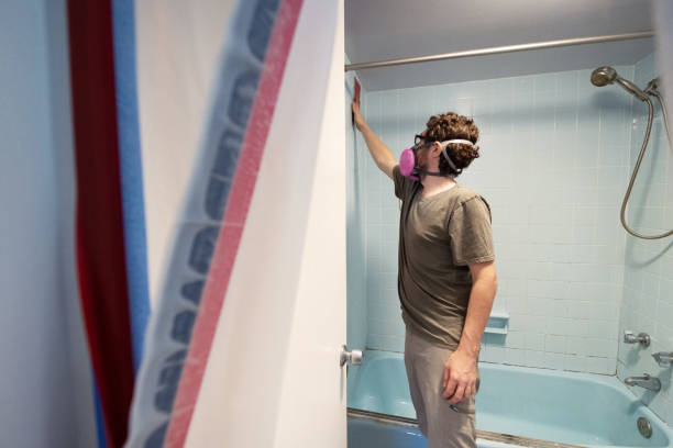 Best Asbestos and Lead Testing During Mold Inspection  in Owatonna, MN
